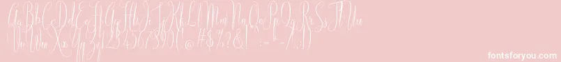 American Script-Schriftart – Weiße Schriften auf rosa Hintergrund