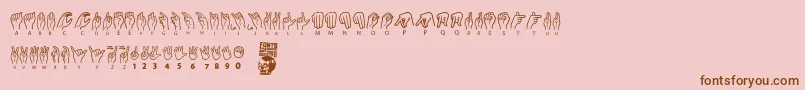 American Sign Lenguage Font – Brown Fonts on Pink Background