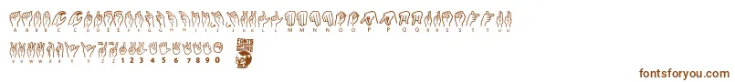 American Sign Lenguage Font – Brown Fonts on White Background