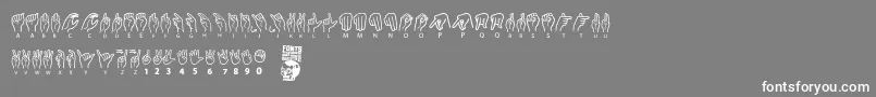 American Sign Lenguage Font – White Fonts on Gray Background