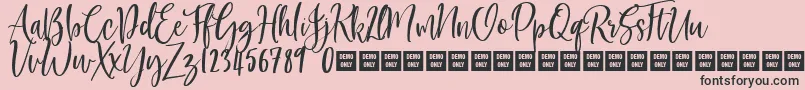 AmericanBeauty Demo Font – Black Fonts on Pink Background