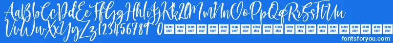AmericanBeauty Demo Font – White Fonts on Blue Background