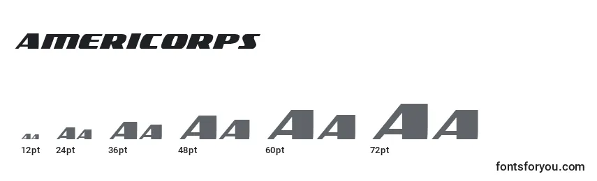 Размеры шрифта Americorps (119390)