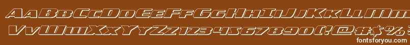 americorps3dexpand Font – White Fonts on Brown Background
