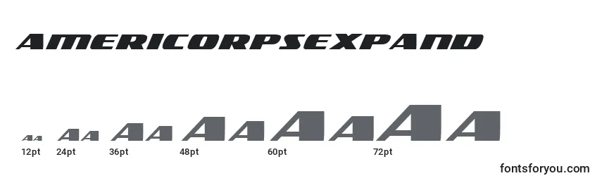 Размеры шрифта Americorpsexpand (119401)