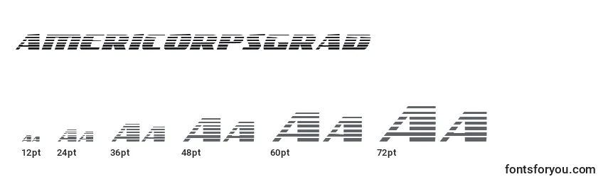 Размеры шрифта Americorpsgrad (119403)
