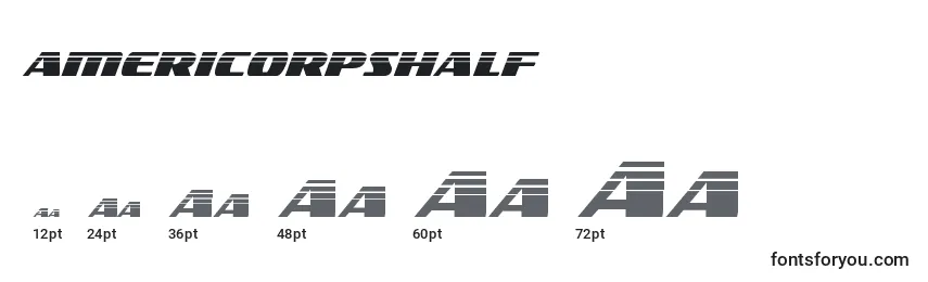 Размеры шрифта Americorpshalf