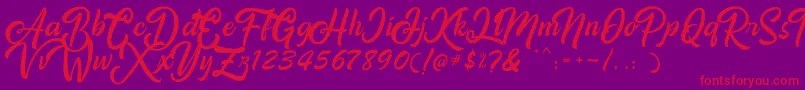 Amigos Font – Red Fonts on Purple Background