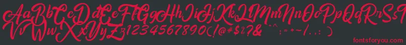 Amigos Font – Red Fonts on Black Background