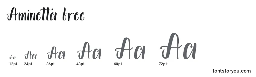 Размеры шрифта Aminetta free