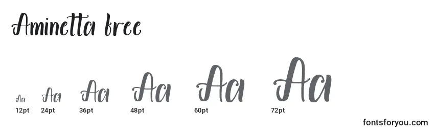 Aminetta free (119427) Font Sizes