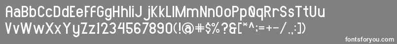 AMORICASANSRegular Font – White Fonts on Gray Background