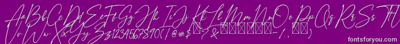 AmostelySignature Font – Green Fonts on Purple Background