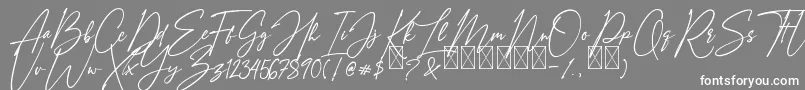 フォントAmostelySignature – 灰色の背景に白い文字