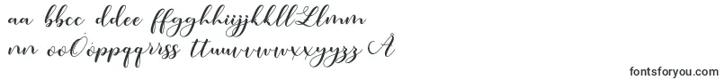 Amotim Font – Polish Fonts