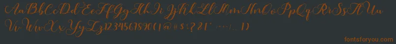 Amotim-fontti – ruskeat fontit mustalla taustalla