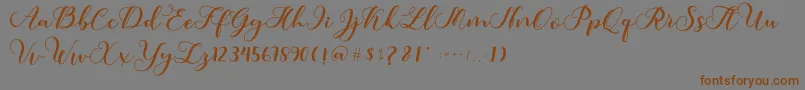 Amotim-fontti – ruskeat fontit harmaalla taustalla