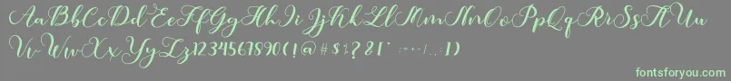 Amotim Font – Green Fonts on Gray Background