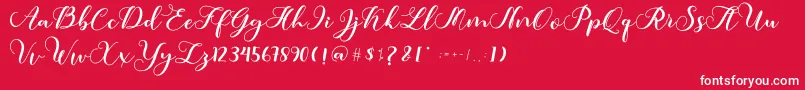 Amotim Font – White Fonts on Red Background