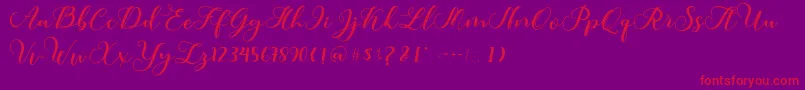 Amotim Font – Red Fonts on Purple Background