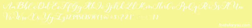 Amotim Font – White Fonts on Yellow Background