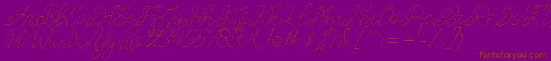 Amplas   1-Schriftart – Braune Schriften auf violettem Hintergrund