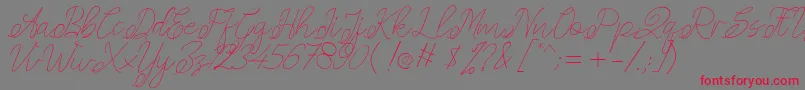 Amplas   1 Font – Red Fonts on Gray Background