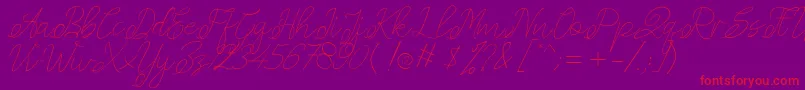 Amplas   1 Font – Red Fonts on Purple Background