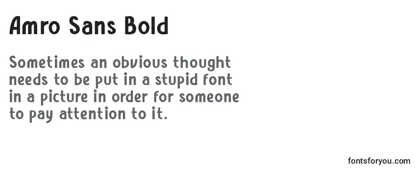 Amro Sans Bold (119447) フォントのレビュー