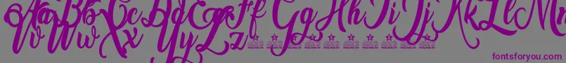 Amsterdam Personal Use-fontti – violetit fontit harmaalla taustalla