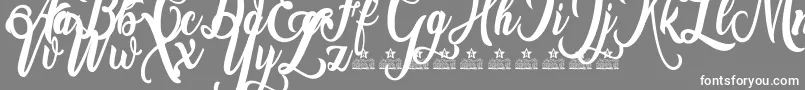 Amsterdam Personal Use Font – White Fonts on Gray Background