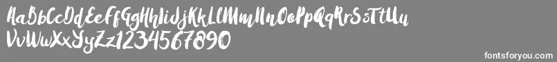 Amulhed brush   Demo Font – White Fonts on Gray Background