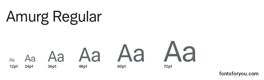 Размеры шрифта Amurg Regular
