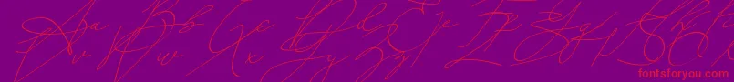 An Either Lifetime Font – Red Fonts on Purple Background