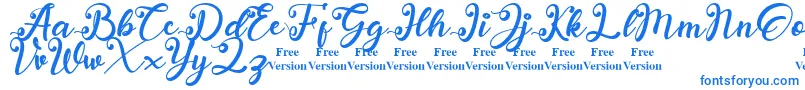 anadya Personal Use Only Font – Blue Fonts on White Background