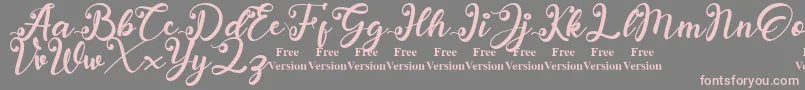 anadya Personal Use Only Font – Pink Fonts on Gray Background
