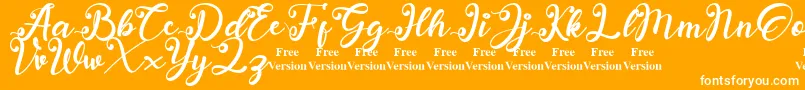 anadya Personal Use Only Font – White Fonts on Orange Background