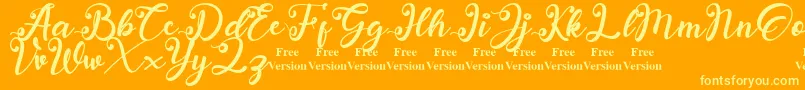 anadya Personal Use Only Font – Yellow Fonts on Orange Background