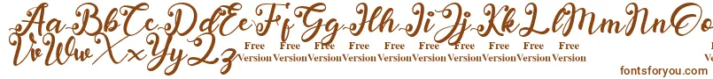 anadya Personal Use Only Font – Brown Fonts on White Background