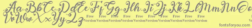 anadya Personal Use Only Font – Gray Fonts on Yellow Background