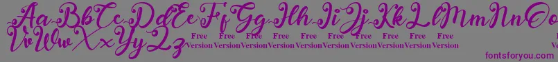 anadya Personal Use Only Font – Purple Fonts on Gray Background