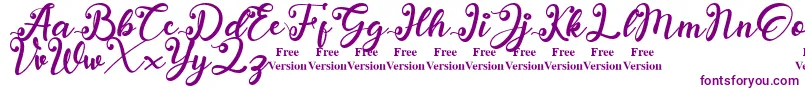 anadya Personal Use Only Font – Purple Fonts on White Background