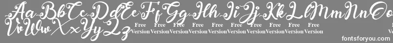 anadya Personal Use Only Font – White Fonts on Gray Background