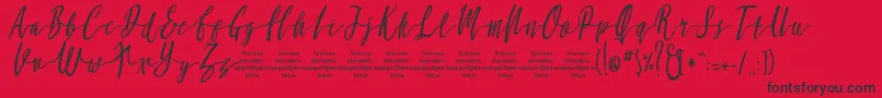 MollucaItalicFree Font – Black Fonts on Red Background