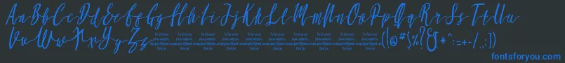 MollucaItalicFree Font – Blue Fonts on Black Background