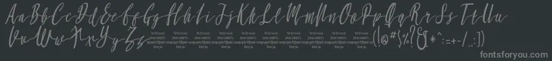 MollucaItalicFree Font – Gray Fonts on Black Background