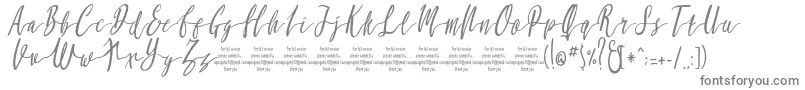 MollucaItalicFree Font – Gray Fonts on White Background