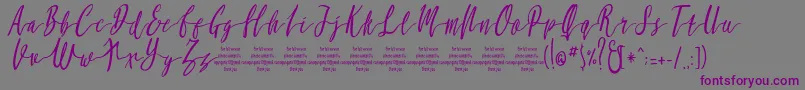 MollucaItalicFree Font – Purple Fonts on Gray Background
