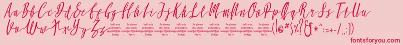 MollucaItalicFree Font – Red Fonts on Pink Background