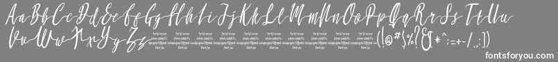 MollucaItalicFree-Schriftart – Weiße Schriften auf grauem Hintergrund